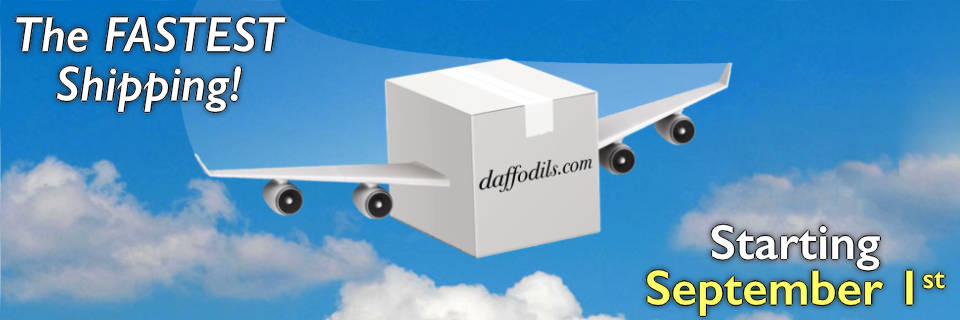 Shipping starts September 1